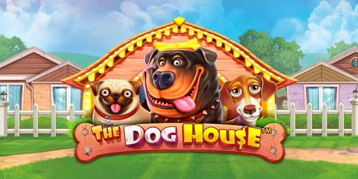 Panduan Pemula Bermain Slot The Dog House Untuk Menang